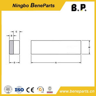 Peças de peças de reposição de ferro branco DLP619 Barras de desgaste padrão