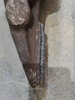 Ponta de dente de caçamba 4rt tungstênio pó de carboneto