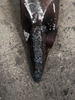 Ponta de dente esco v29vy super v29 tungstênio pó de pó de carboneto